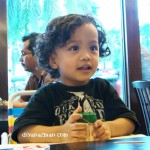 Ayam Penyet AP mikael1